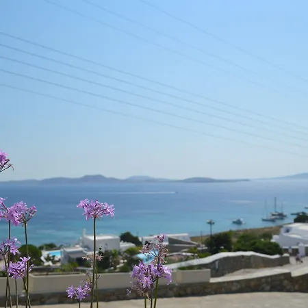 Ξενοδοχείο με διαμερίσματα Panthea